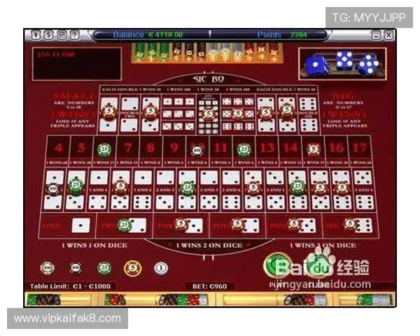 全面解析骰宝模拟软件的操作流程与实用技巧助你轻松赢钱