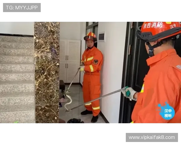 天博真人ag平台最新玩法介绍与安全保障措施全面解析